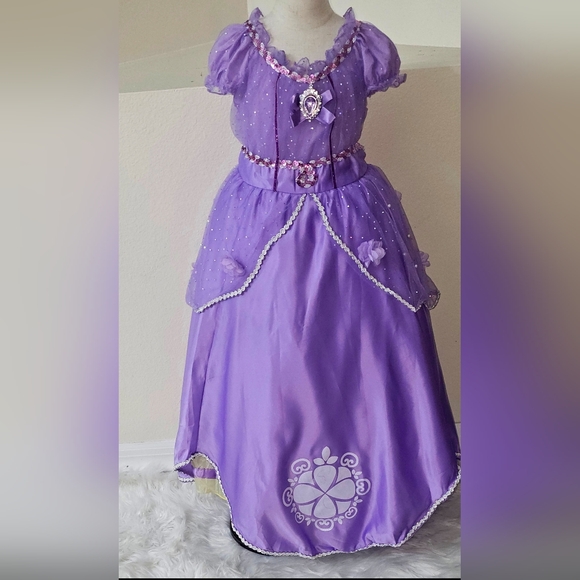 Lavender Princess Inspired Sofia Dress with Floral and Gem Detailing